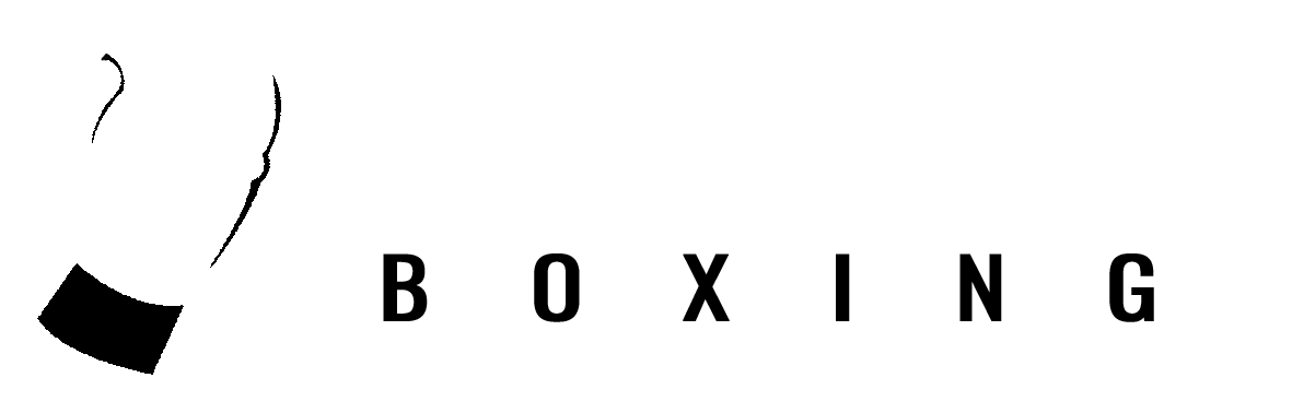 Power Punch Boxing Logo